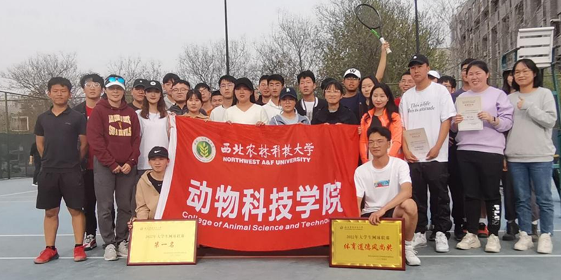 青春无畏 奋进拼搏 国产在线
网球队在“中行杯”大学生网球团体赛中夺冠